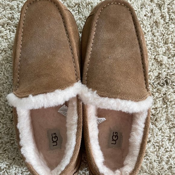 Men\'s UGG Ascot Slippers NEVER WORN main image 4